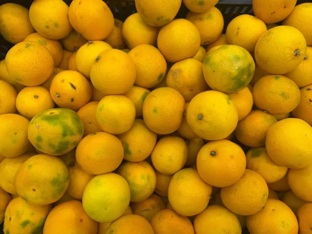 Как сохранить мандарины до Нового года: советы россиянам о покупке по низким ценам