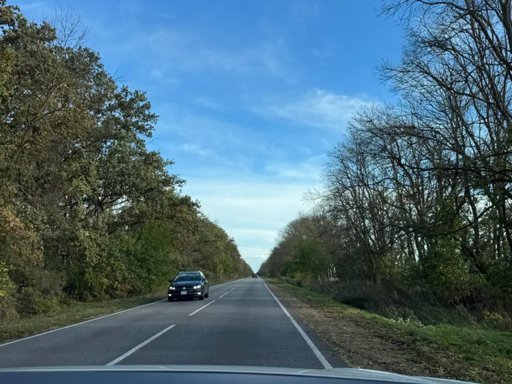 Инспектор ГИБДД: «Пассажир не пристегнут сзади, выписываю штраф» — кто должен платить и как действовать по закону