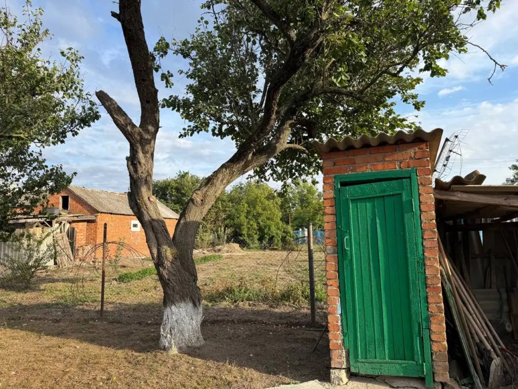 Очищайте выгребную яму зимой с помощью одной таблетки раз в месяц