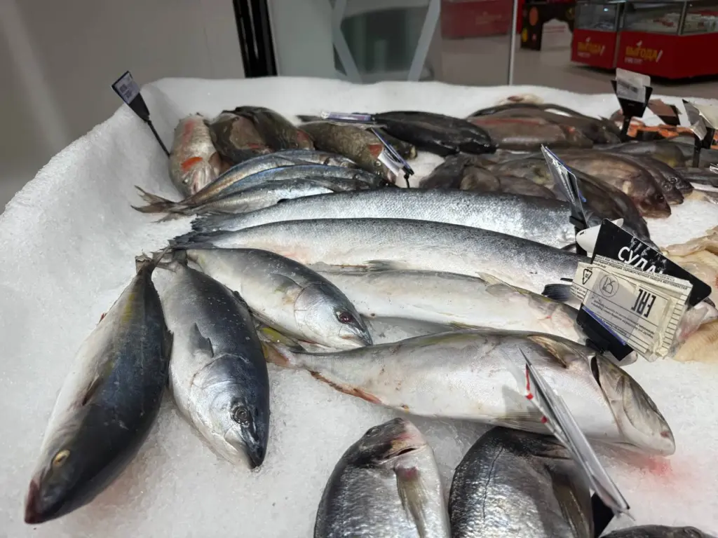 Как скумбрия, выглядящая непримечательно, становится деликатесом благодаря простому трюку с горчицей