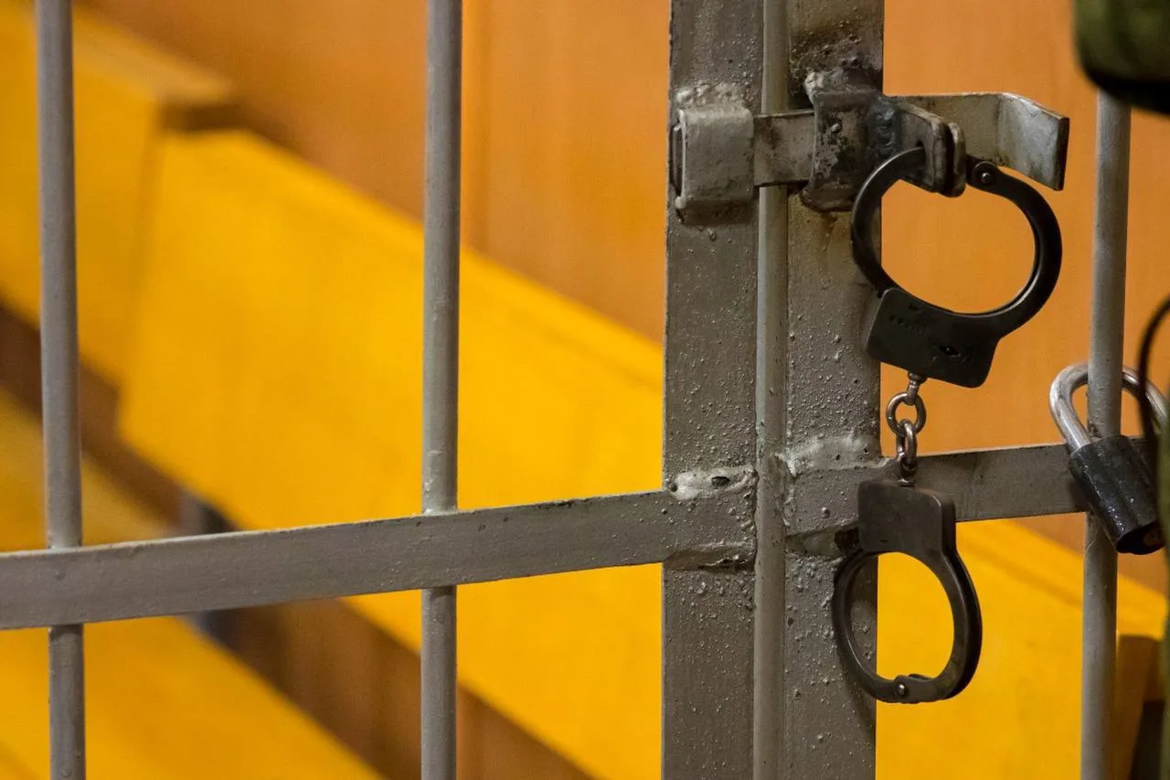 Снизить уголовную ответственность до 12 лет предложили в Госдуме